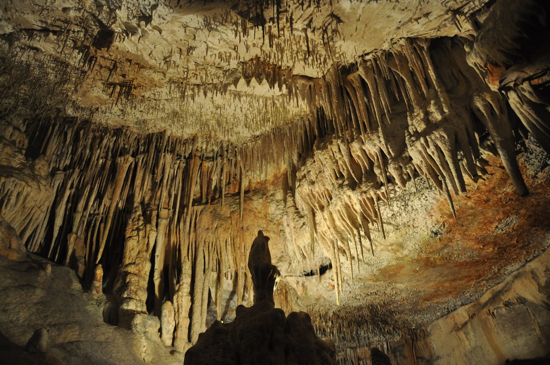 Scientific research equipment mapping a delicate restricted cave